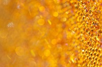 Shiny golden glitter background texture