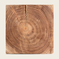 Wooden chopped log texture design resource 