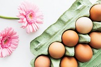 Easter eggs and pink gerbera spring flatlay