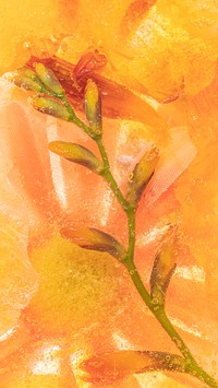 Orange natural branch of forsythia flowers mobile wallpaper