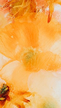 Blooming orange natural forsythia flower