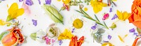 Colorful summer flowers in a milk bath background