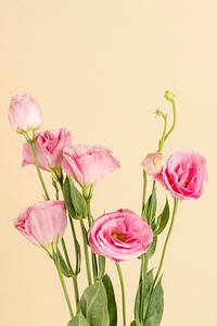 Bouquet of pink lisianthus flower