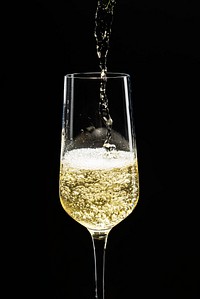 Champagne pouring into a glass