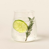 Gin and tonic with rosemary