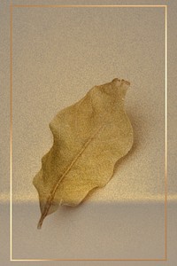 Gold frame with a dried green leaf on a beige background