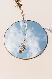 Dry orange ranunculus in a clear vase on a mirror