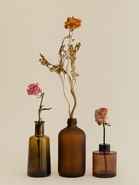 Dried flowers in brown glass vases on a beige background
