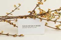 Dried Forsythia branch with a card mockup on a beige background