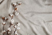 Cotton flower branch on a creased gray cloth textured background