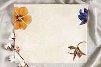 Cotton flower branch on a paper over a creased gray fabric background