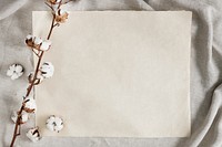 Cotton flower branch on a blank paper over a creased gray fabric background
