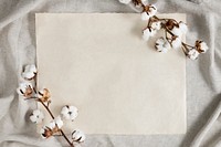 Cotton flower branch on a blank paper over a creased gray fabric background