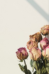 Bouquet of dried roses with a window shadow on a wall