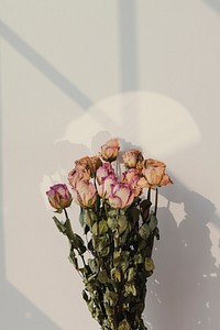 Bouquet of dried roses with a window shadow on a wall