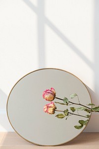 Dried pink rose reflection on a round mirror