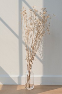 Dried gypsophila in a glass vase on the floor