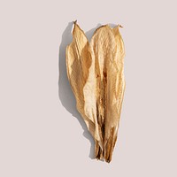 Dried lily flower on a brown background