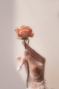 Woman in a lace glove holding a dried orange rose