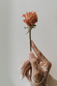 Woman in a lace glove holding a dried orange rose