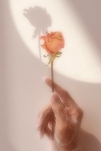 Woman in a lace glove holding a dried orange rose