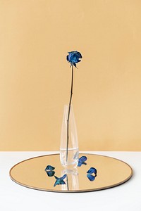 Dried blue rose in a cleared vase on a shiny tray
