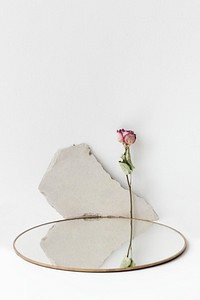 Dried rose by a round mirror