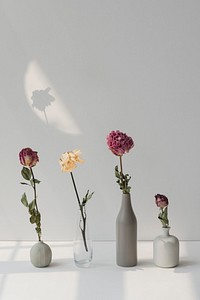 Dried flowers in minimal vases