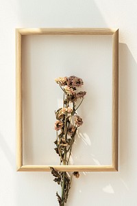 Dried chrysanthemum flower in a woode frame