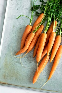 Pile of fresh organic carrots