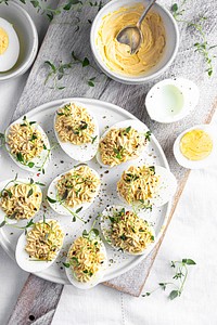 Deviled eggs on a white plate