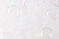 Transparent soap bubble pattern on a gray wallpaper background 