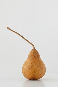 Brown natural pear design element