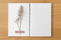 Dried flower on a blank lined notebook