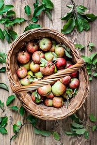 Fresh red apple in basket on wooden table