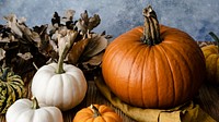 Jack o' Lantern pumpkins organic vegetable photography