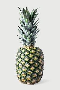 Psd single natural pineapple fruit