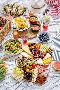 Charcuterie board with cold cuts, fresh fruits and cheese on a picnic cloth