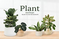 Green houseplant mockup psd banner