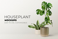 Green houseplant mockup psd banner