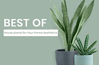 Houseplant mockup psd green banner