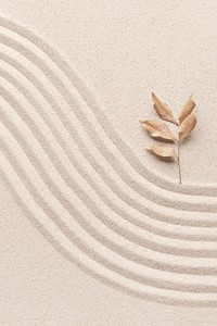 Leaf on the beach sand background in health and wellbeing concept