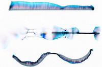 Aesthetic abstract chromatography art element