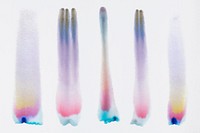 Aesthetic abstract chromatography art psd element