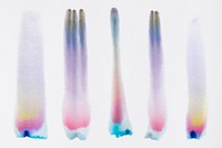 Aesthetic abstract chromatography art element