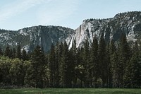 Yosemite falls in Yosemite National Park