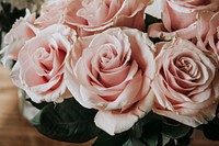 Beautiful pink roses in a vase on a table