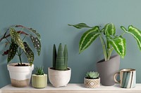Cute small plants mockup psd on a shelf