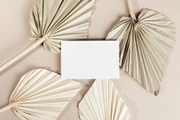 Blank business cards with dried palm leaves
