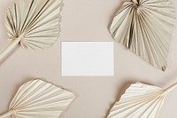 Blank business card with dried palm leaves